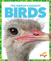 The_World_s_Biggest_Birds